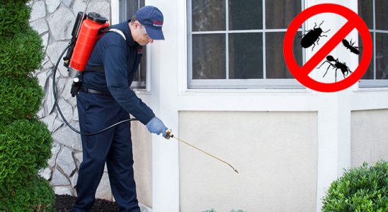 Yenifakılı Kemirgen İlaçlama böcek ilaçlama ve haşere kontrolü — ilaclama-tr.com